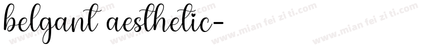 belgant aesthetic字体转换